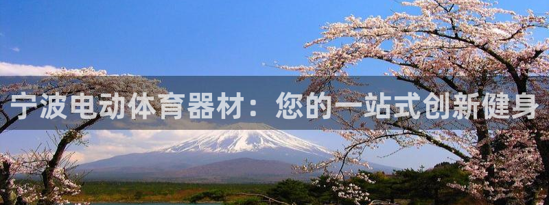 哪吒s耀世版价格：宁波电动体育器材：您的一站式创新健