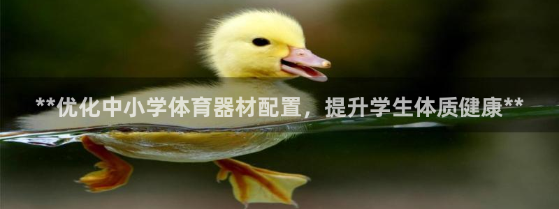 耀世登场的图片：**优化中小学体育器材配置，提升学生
