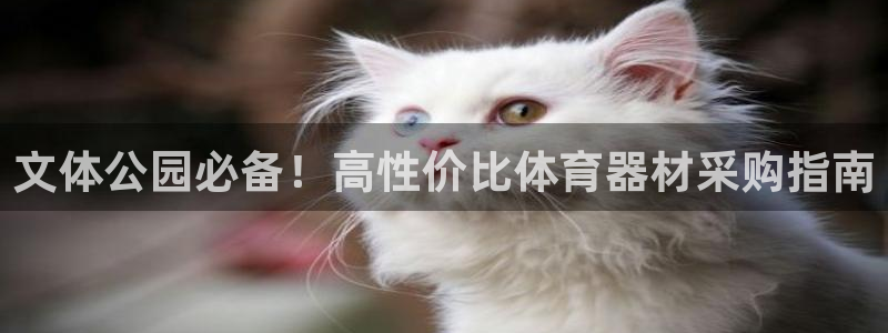 耀世集团商业联盟罗文斌：文体公园必备！高性价比体育器