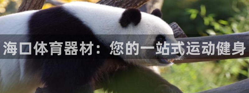 耀世娱乐升 5O6917 娱乐：海口体育器材：您的一
