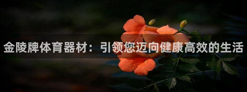 耀世天下图片头像：金陵牌体育器材：引领您迈向健康高效