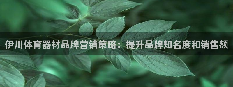 耀世娱乐是不是赚钱：伊川体育器材品牌营销策略：提升品