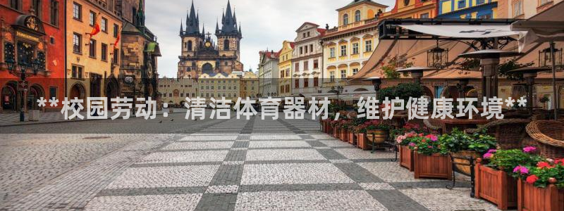 耀世娱乐下载最新版本安装：**校园劳动：清洁体育器材