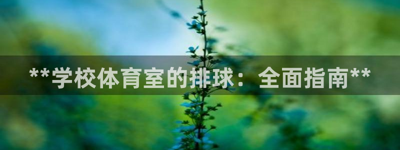 六星耀世什么意思：**学校体育室的排球：全面指南**