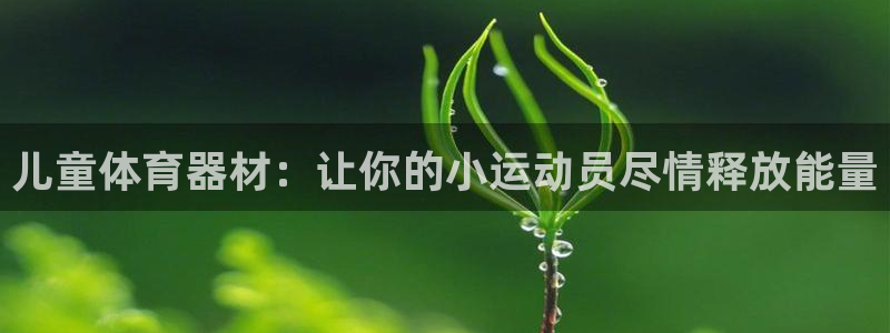 耀世平台代理多少钱一次：儿童体育器材：让你的小运动员