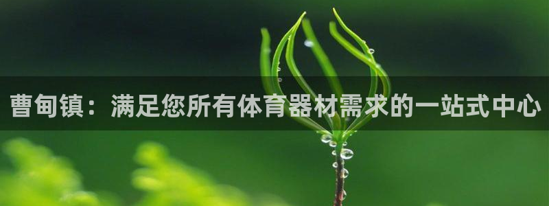 耀世平台开户要求：曹甸镇：满足您所有体育器材需求的一