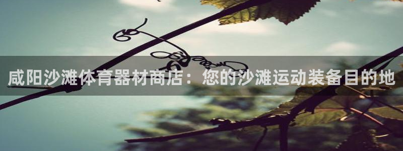 耀世娱乐违法吗：咸阳沙滩体育器材商店：您的沙滩运动装