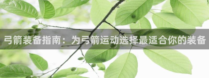 耀世集团视频直播：弓箭装备指南：为弓箭运动选择最适合