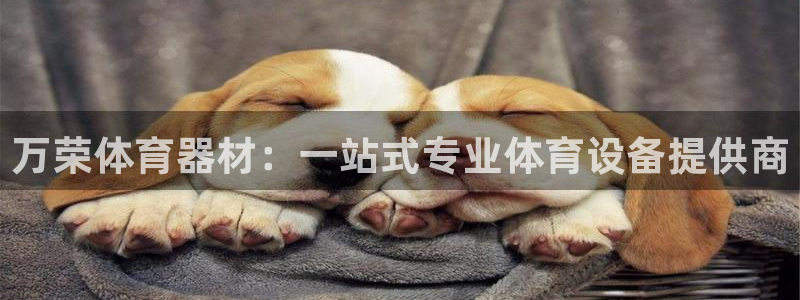 耀世娱乐六7O777：万荣体育器材：一站式专业体育设