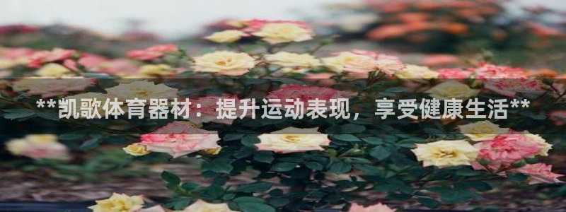 耀世平台有很多登录地址吗：**凯歌体育器材：提升运动