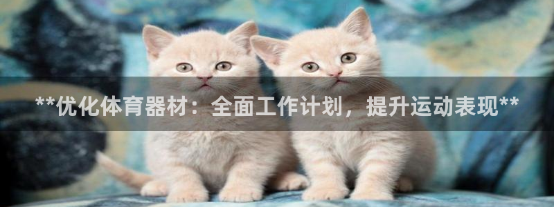 耀世平台日7O777：**优化体育器材：全面工作计划