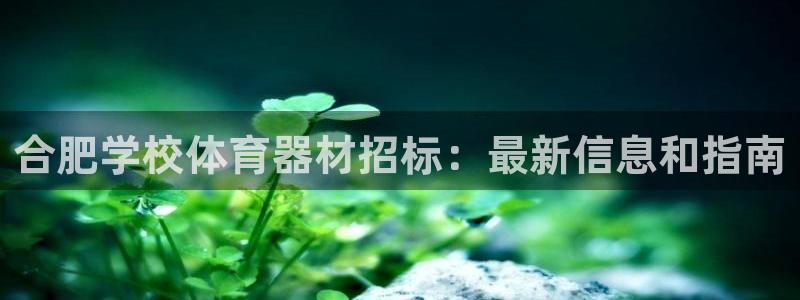 耀世令有什么用：合肥学校体育器材招标：最新信息和指南