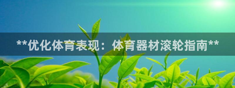 耀世娱乐如何登录平台号：**优化体育表现：体育器材滚