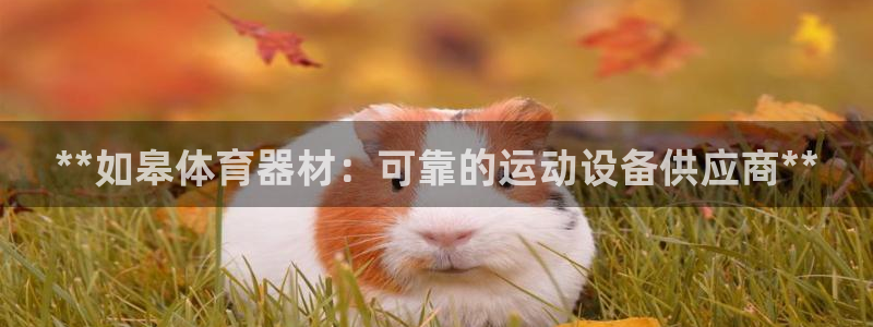 耀世集团视频：**如皋体育器材：可靠的运动设备供应商