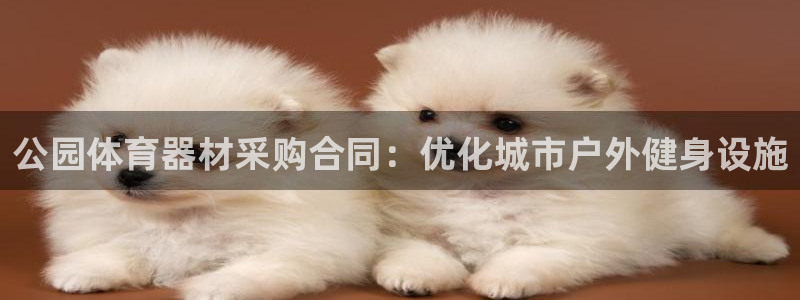 耀世娱乐是正规还是仿真：公园体育器材采购合同：优化城