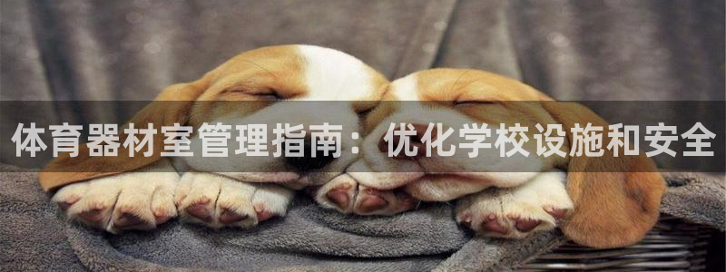 耀世集团董事长抖音是谁：体育器材室管理指南：优化学校