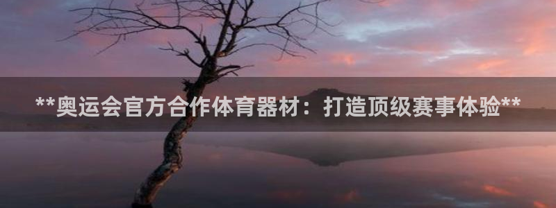 耀世平台注册步骤：**奥运会官方合作体育器材：打造顶