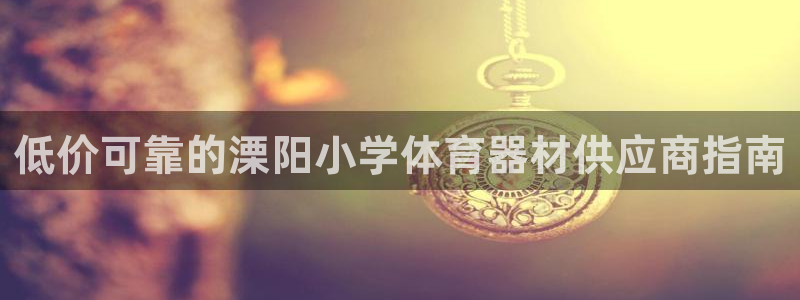 耀世集团商业联盟怎么样：低价可靠的溧阳小学体育器材供