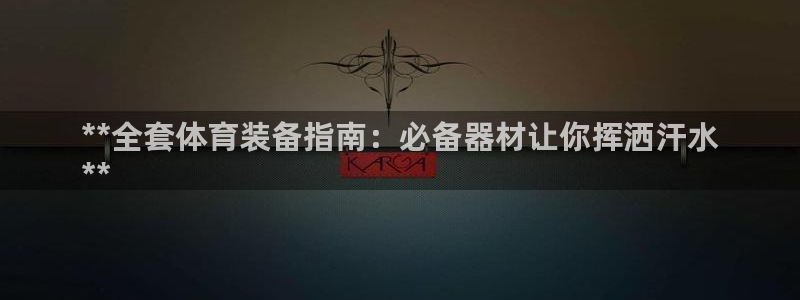 耀世平台代理怎么做的：**全套体育装备指南：必备器材