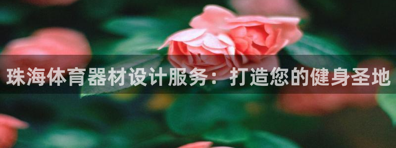 耀世平台信 585341 平台：珠海体育器材设计服务