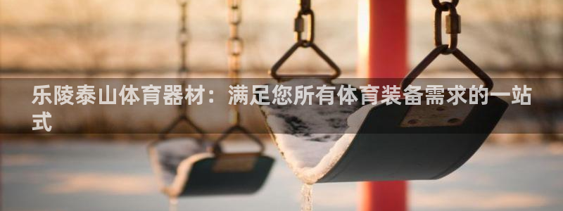 耀世娱乐辅助软件下载安装：乐陵泰山体育器材：满足您所