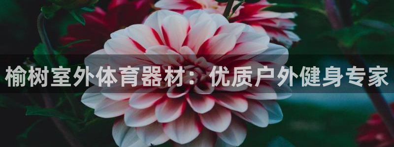 耀世集团商业联盟招聘：榆树室外体育器材：优质户外健身