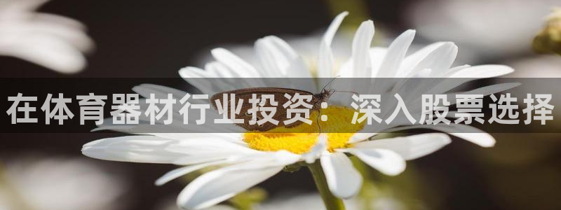 耀世平台登录地址是什么：在体育器材行业投资：深入股票