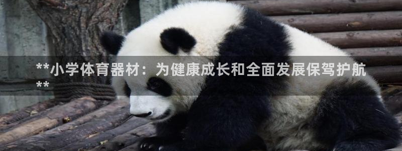 耀世娱乐挂机赚钱吗：**小学体育器材：为健康成长和全