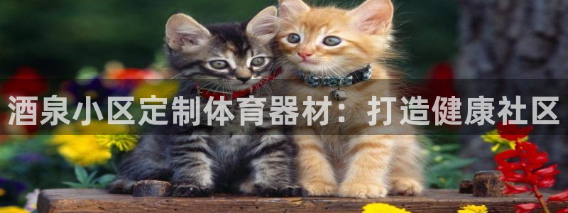 耀世平台最新注册地址在哪看：酒泉小区定制体育器材：打