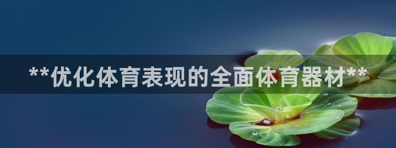 耀世意思是什么：**优化体育表现的全面体育器材**
