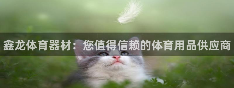 耀世平台的运营模式：鑫龙体育器材：您值得信赖的体育用