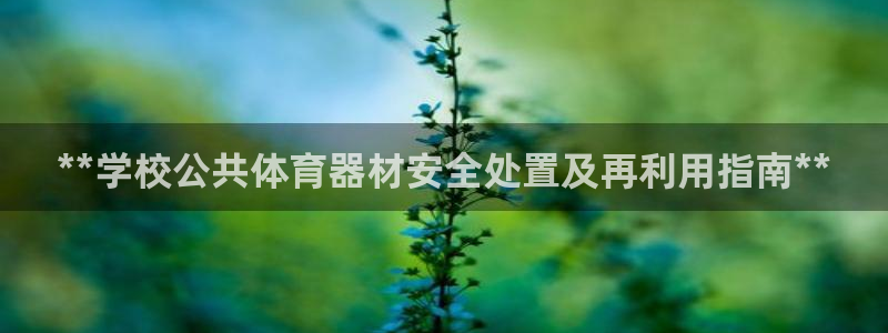 耀世平台客服24小时在线咨询：**学校公共体育器材安