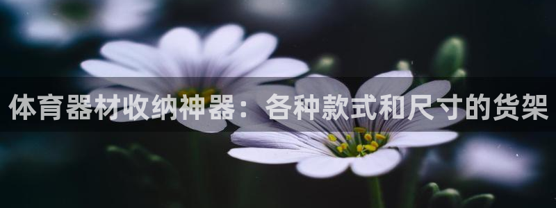 耀世娱乐在线登录官网入口手机版：体育器材收纳神器：各