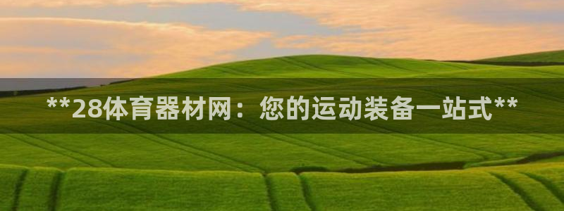 耀世娱乐app下载安装苹果：**28体育器材网：您的