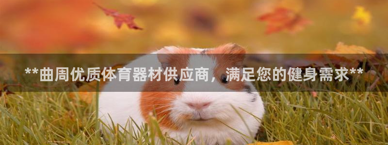 耀世娱乐官方网站登录：**曲周优质体育器材供应商，满