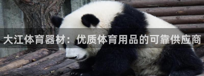 耀世娱乐价 411O31 耀世：大江体育器材：优质体