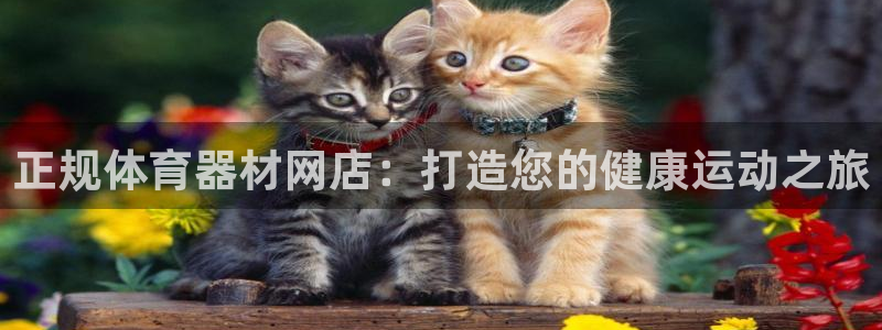 耀世平台遇 411o31 平台：正规体育器材网店：打