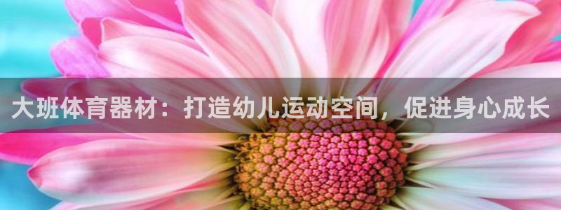 耀世集团董事长抖音是谁：大班体育器材：打造幼儿运动空