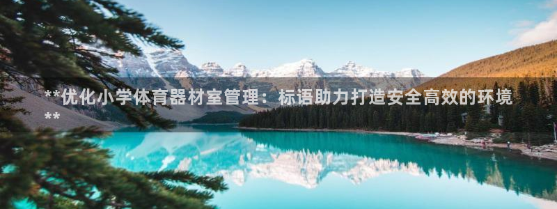 耀世辉煌：**优化小学体育器材室管理：标语助力打造安