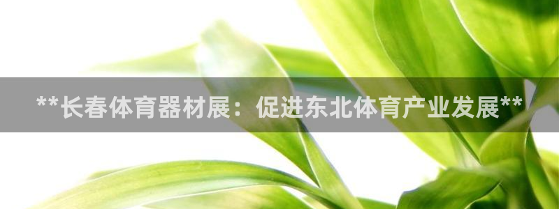 耀世娱乐网址是什么啊：**长春体育器材展：促进东北体