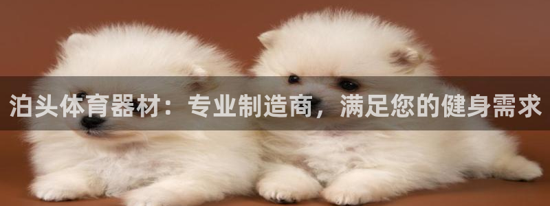 耀世娱乐辅助软件下载安装：泊头体育器材：专业制造商，