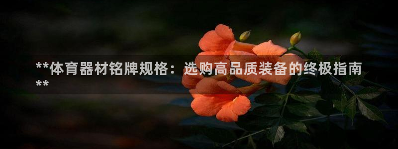耀世平台注册网址是什么意思：**体育器材铭牌规格：选