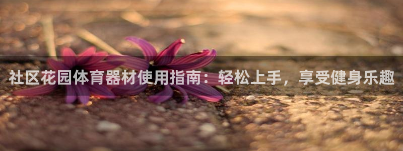 耀世和耀至的区别：社区花园体育器材使用指南：轻松上手