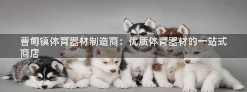 耀世天下搭配一个图片：曹甸镇体育器材制造商：优质体育