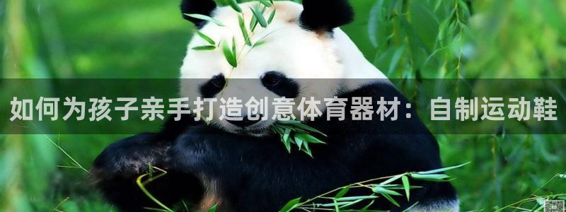 耀世集团是干嘛的企业啊：如何为孩子亲手打造创意体育器材：自制