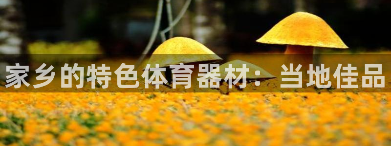 耀世娱乐能不能提现到支付宝：家乡的特色体育器材：当地