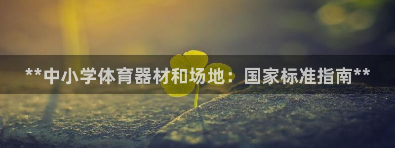 耀世娱乐含山设备：**中小学体育器材和场地：国家标准指南**