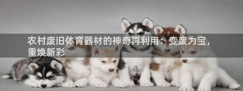 耀世娱乐是正规还是仿真：农村废旧体育器材的神奇再利用