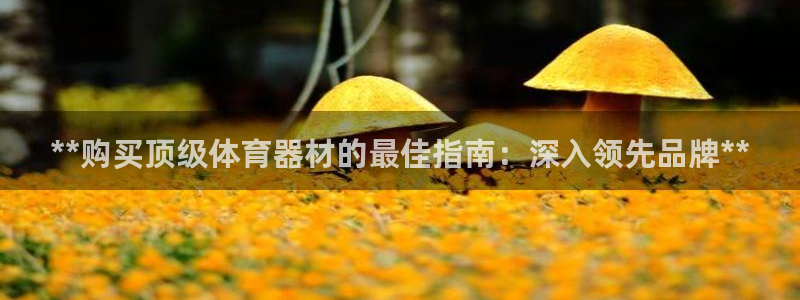 耀世娱乐登入不了账号：**购买顶级体育器材的最佳指南