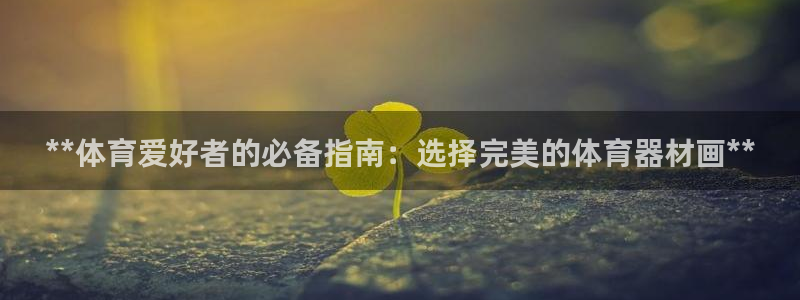 耀世娱乐含山县：**体育爱好者的必备指南：选择完美的体育器材
